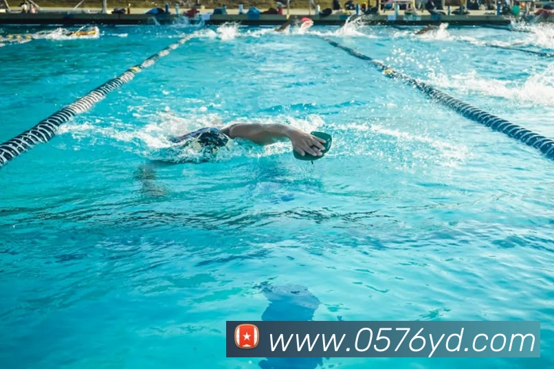 体育数据展示